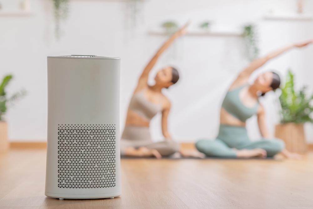 Do Air Purifiers Improve Your Health?
