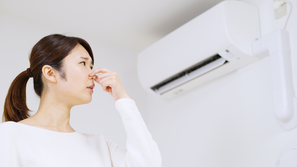 Mold Can Infiltrate In The HVAC System
