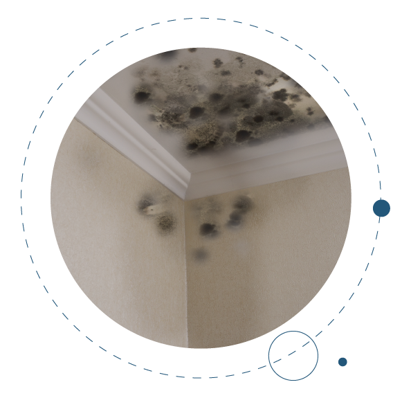 Mold in Residential Areas