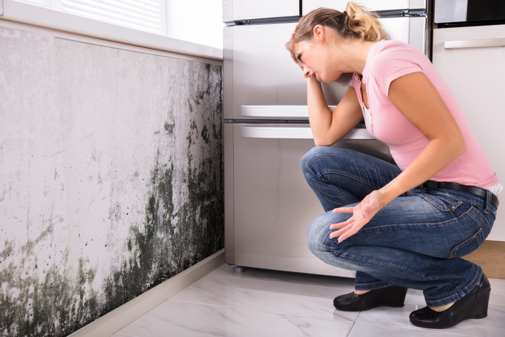 Damages of mold presence at home