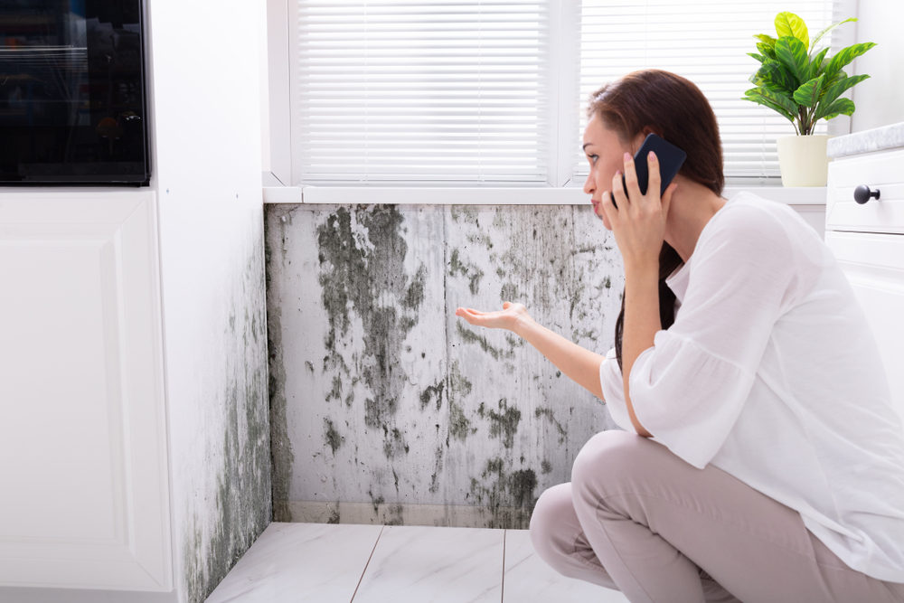 Dealing with Mold in A Building You Rent