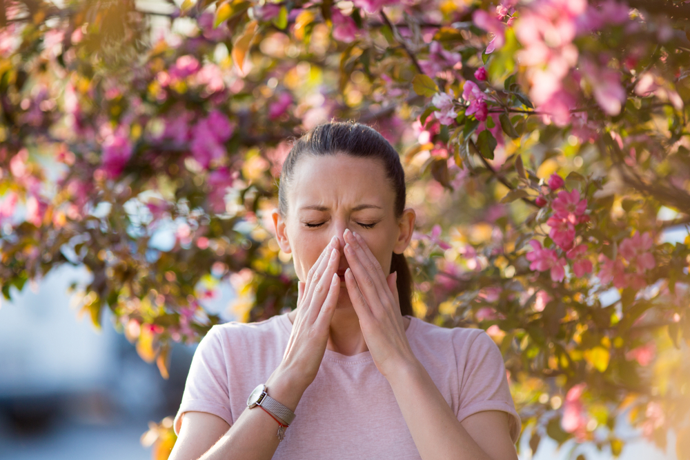The Most Common Triggers of Seasonal Allergies