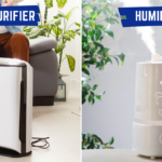 Air Purifier or Humidifier: Which One Should You Use? - Air Purifier or Humidifier: Which One Should You Use - Florida Mold Inspection & Indoor Air Quality Testing - Commercial, Residential & Marine Mold, Water and Air Quality Testing Services by ETA Mold