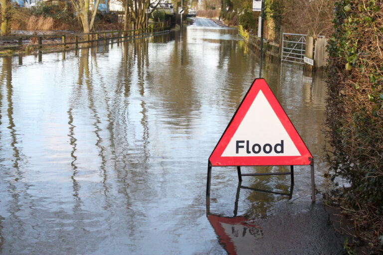 Flooded Home? Here’s Your Essential Guide to Post-Flooding Mold Inspection
