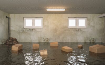 Understanding the Link Between Flooding and Mold Growth