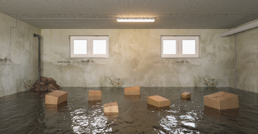 Understanding the Link Between Flooding and Mold Growth