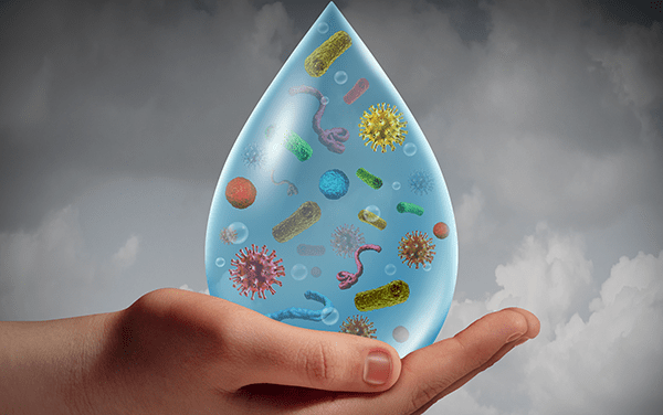 Biological Contaminants in Water