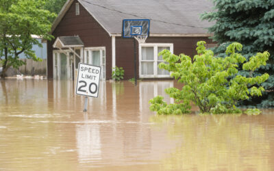 What To Do If My House Floods? A Comprehensive Guide