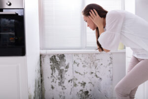 a woman looking at a tv / Most Hidden Danger: Mold Risks in Florida Homes During Hurricane Season / Mold Risks in Florida Homes: A Silent Menace / The Impact of Mold Risks on Health / How Hurricanes Season Exacerbate Mold Risks in Florida Homes / Effective Mold Management During Hurricane Season / ETA Mold Testing and Inspection in Florida