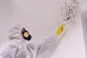 a person wearing a mask pointing at mold on the ceiling / Most Hidden Danger: Mold Risks in Florida Homes During Hurricane Season / Mold Risks in Florida Homes: A Silent Menace / The Impact of Mold Risks on Health / How Hurricanes Season Exacerbate Mold Risks in Florida Homes / Effective Mold Management During Hurricane Season / ETA Mold Testing and Inspection in Florida