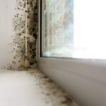 a close up of a window / Most Hidden Danger: Mold Risks in Florida Homes During Hurricane Season / Mold Risks in Florida Homes: A Silent Menace / The Impact of Mold Risks on Health / How Hurricanes Season Exacerbate Mold Risks in Florida Homes / Effective Mold Management During Hurricane Season / ETA Mold Testing and Inspection in Florida