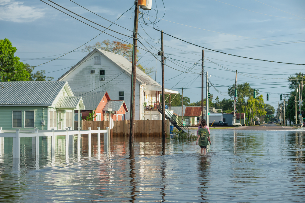 A Comprehensive Guide for Homeowners and Renters This Hurricane Season