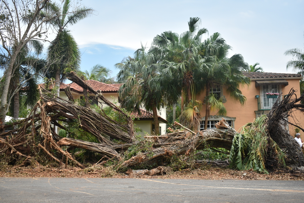 Florida Home safety during hurricane season