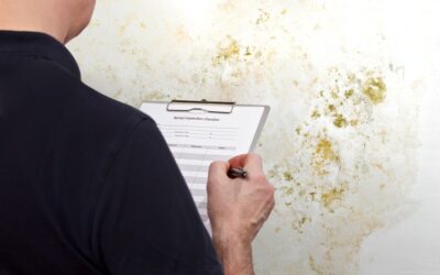 Effective Mold Property Management Strategies for Commercial Spaces
