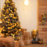 Holiday Mold Prevention: Safe Home For The Season!