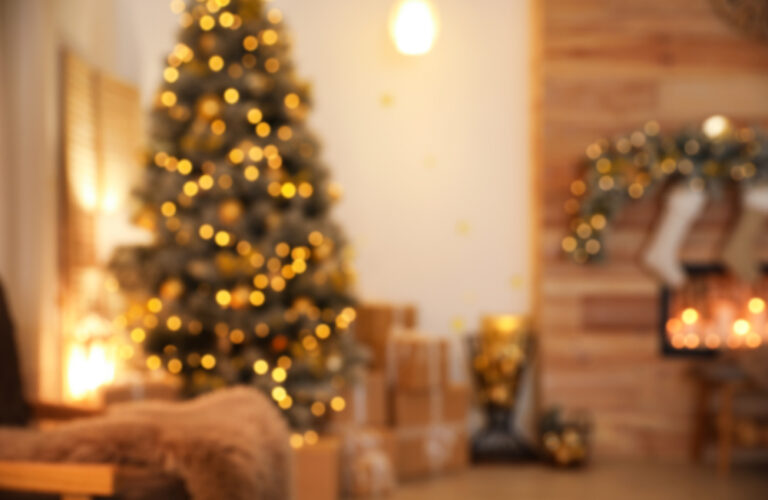 Holiday Mold Prevention: Safe Home For The Season!