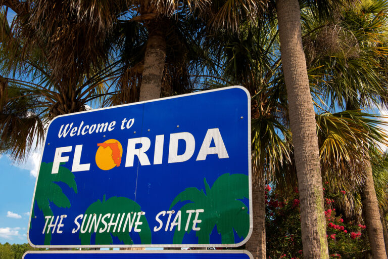 Mold and Air Quality in Florida with ETA Mold
