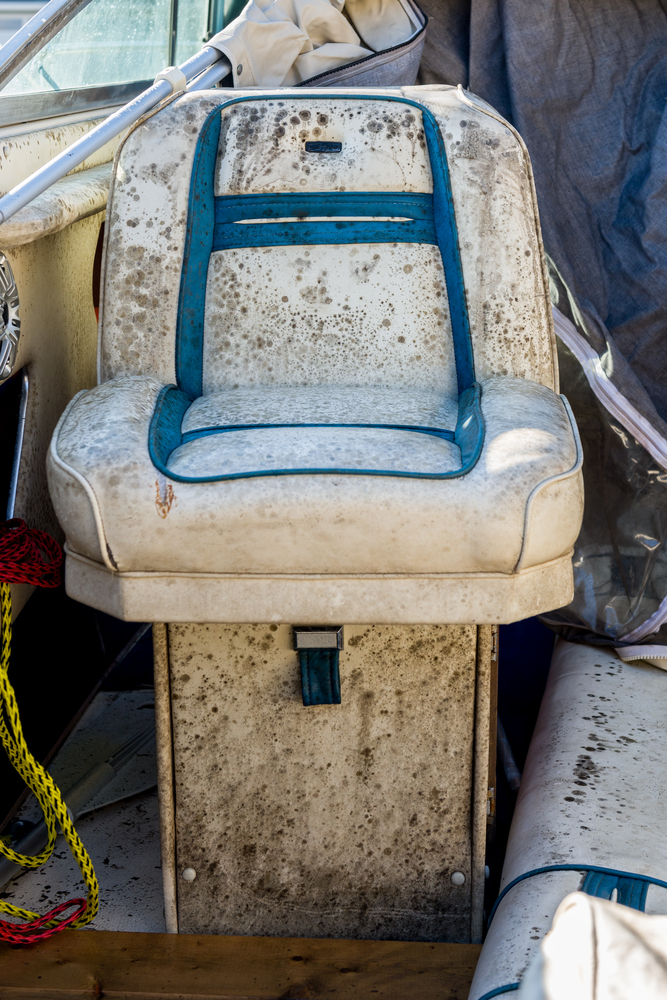 Boat chair covered in mold