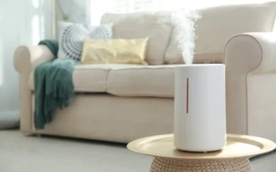 Mold in Humidifiers: What You Need to Know