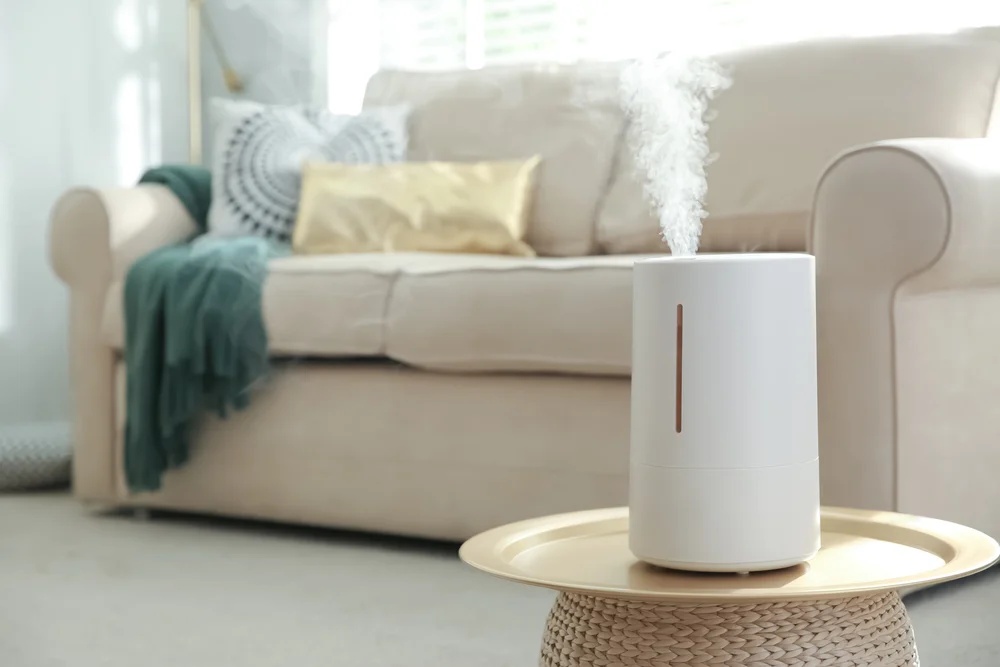 Mold in Humidifiers: What You Need to Know 2 Mold in Humidifiers: What You Need to Know