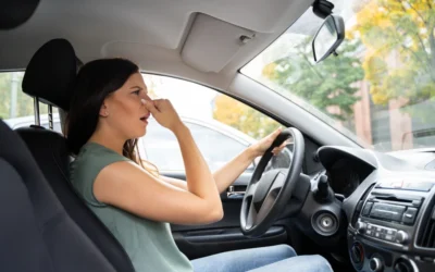 How to Get Rid of Mold in Your Car: A Simple Guide