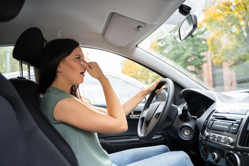 How to Get Rid of Mold in Your Car: A Simple Guide 2 How to Get Rid of Mold in Your Car: A Simple Guide