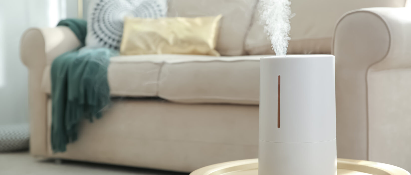 Mold in Humidifiers: What You Need to Know