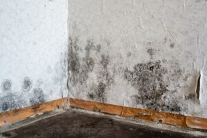 10 Warning Signs of Mold Toxicity and How to Protect Your Health - What Is Mold Toxicity? - 10 Signs You Might Have Mold Toxicity - How to Protect Your Health from Mold - How to Protect Your Health from Mold Toxicity - Mold Ispection in Florida - ETA Mold