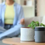 Small humidifier on a table with green plants in the foreground, woman meditating in the blurred background. Benefits of Humidifier: Why You Need One in Your Home - 8 Benefits of Humidifier Use for a Healthier Home - Improves Respiratory Health - Keeps Your Home Air Healthy - Types of Humidifiers - Risks of Using a Humidifier - ETA Mold