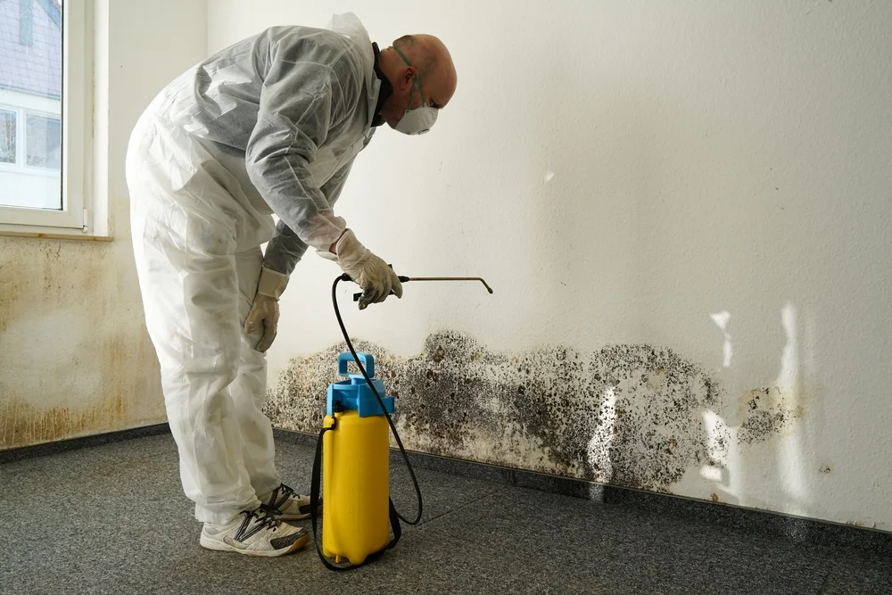 Mold vs Mildew: Differences and How to Deal With Them 6 a man in a hazmat suit spraying black mold on a wall / Mold vs Mildew: Differences and How to Deal With Them - What Is Mold? - Common Types of Mold and Where It Grows - What Is Mildew? - Common Types of Mildew and Where It Grows - Mold vs Mildew – How to Tell the Difference