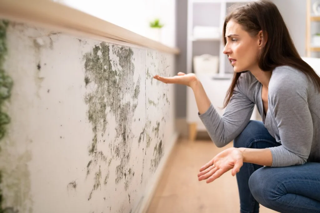 Mold vs Mildew: Differences and How to Deal With Them - What Is Mold? - Common Types of Mold and Where It Grows - What Is Mildew? - Common Types of Mildew and Where It Grows - Mold vs Mildew – How to Tell the Difference