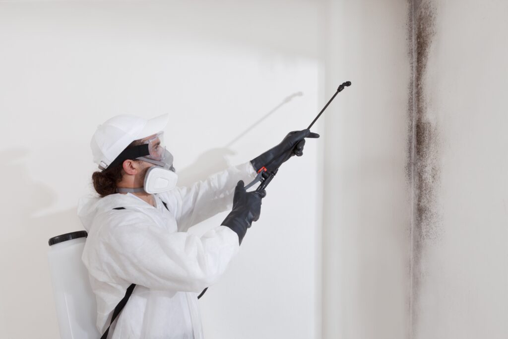 Mold vs Mildew: Differences and How to Deal With Them - What Is Mold? - Common Types of Mold and Where It Grows - What Is Mildew? - Common Types of Mildew and Where It Grows - Mold vs Mildew – How to Tell the Difference