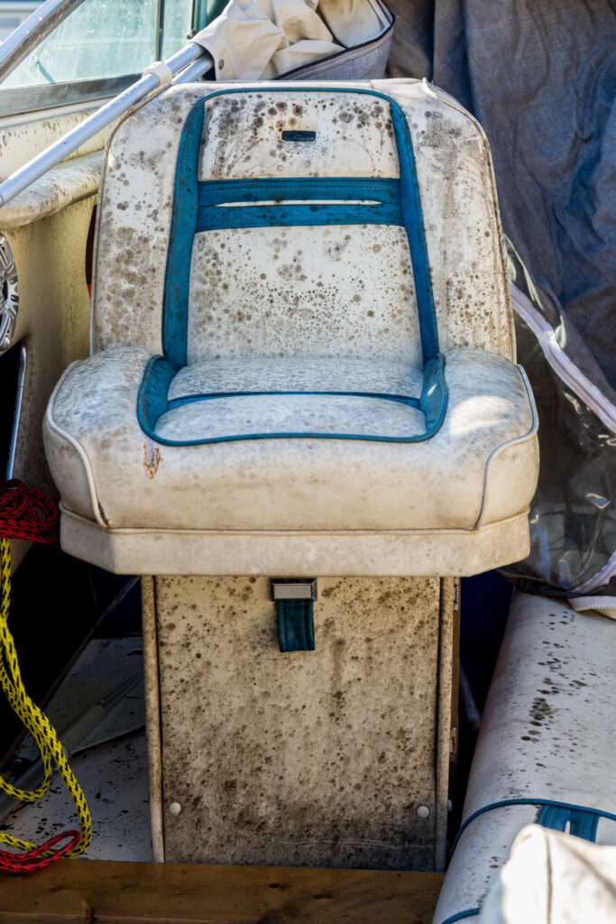 How to Get Rid of Mold on Boat Seats? - Identifying Mold on Boat Seats - Materials Needed to Clean Mold - Step-by-Step Guide To Removing Mold From Boat Seats - Mold Yacht Inspection in Florida - ETA Mold