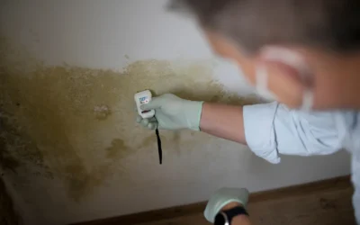Mold in Crawl Space: Causes, Types, Removal, and Prevention Tips