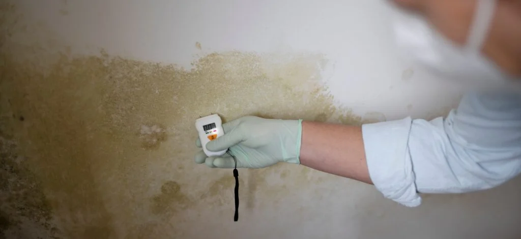 Identify, remove, and prevent mold in crawl space. Learn its causes, types, and solutions to keep your home safe, dry, and mold-free.