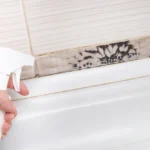 Pink Mold – Causes, Risks, and Solutions