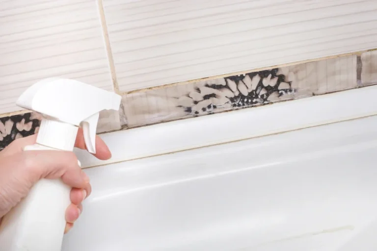 Pink Mold – Causes, Risks, and Solutions