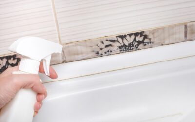 Pink Mold – Causes, Risks, and Solutions