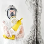 What is Black Mold? Causes, Symptoms, Removal & More