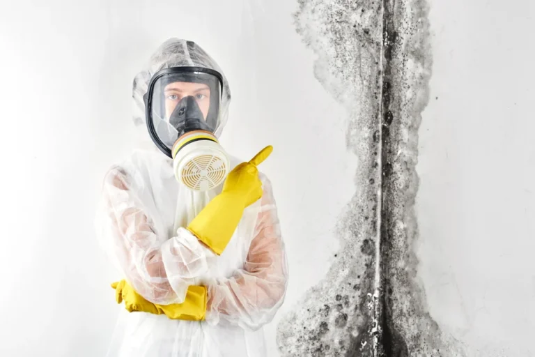 What is Black Mold? Causes, Symptoms, Removal & More