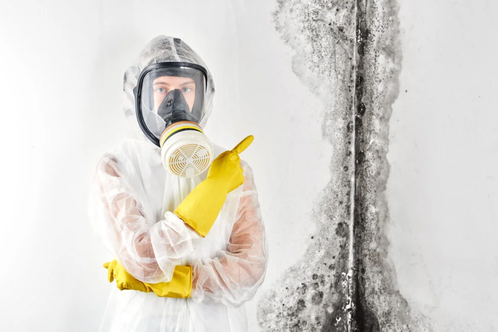 What is Black Mold? Causes, Symptoms, Removal & More / What is Black Mold? (Scientific Name) / How Black Mold Is Different from Regular Mold / Causes of Black Mold / Symptoms of Black Mold Exposure / Removal of Black Mold / Prevention of Black Mold / Humidity and Temperature Ideal For Black Mold Growth / Average Cost of Inspection, Testing & Removal of Black Mold / Images of Black Mold / What Is Black Mold FAQs / ETA Mold Inspection in Florida
