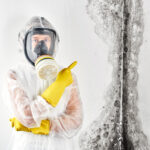 What is Black Mold? Causes, Symptoms, Removal & More