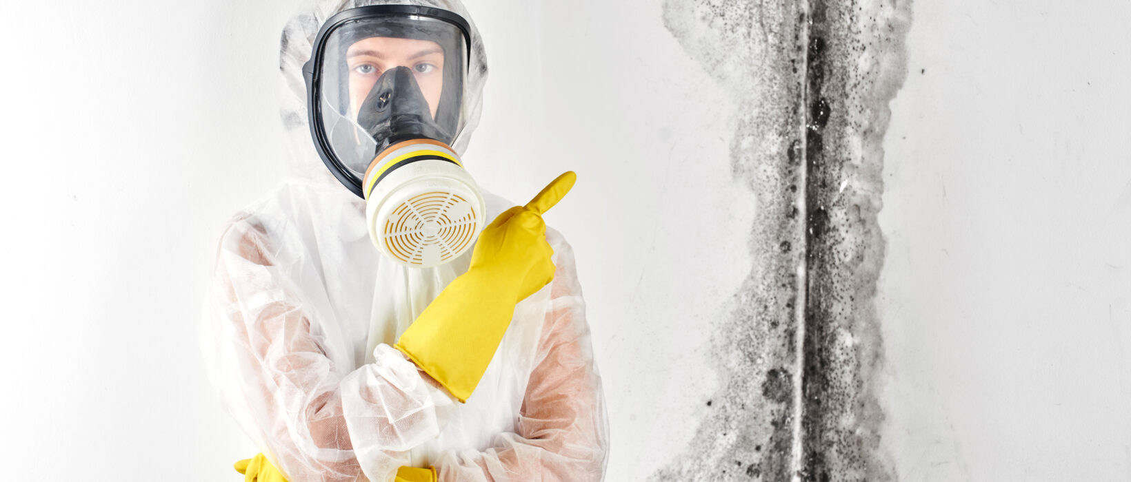 What is Black Mold? Causes, Symptoms, Removal & More 2 What is Black Mold? Causes, Symptoms, Removal & More