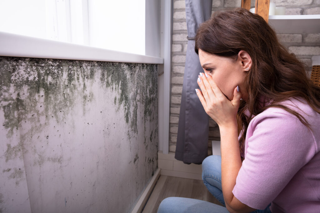 Types of Mold: A Complete Guide 4 Types of Mold: A Complete Guide / What Is Mold? / Common Types of Mold / Less Common but Important Types of Mold / How Mold Affects Health / How to Identify Mold / Why You Shouldn't Remove Mold Yourself / How to Prevent Mold Growth / FAQs About Types of Mold / ETA Mold Inspection and Testing Mold in Florida