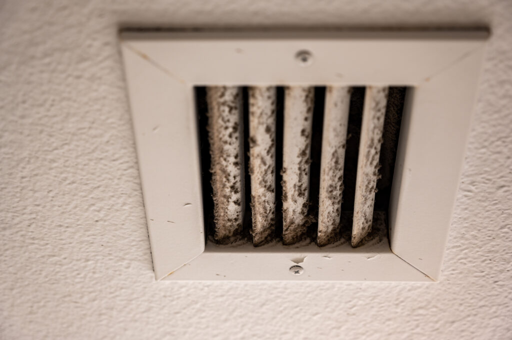 What is Black Mold? Causes, Symptoms, Removal & More 5 What is Black Mold? Causes, Symptoms, Removal & More / What is Black Mold? (Scientific Name) / How Black Mold Is Different from Regular Mold / Causes of Black Mold / Symptoms of Black Mold Exposure / Removal of Black Mold / Prevention of Black Mold / Humidity and Temperature Ideal For Black Mold Growth / Average Cost of Inspection, Testing & Removal of Black Mold / Images of Black Mold / What Is Black Mold FAQs / ETA Mold Inspection in Florida