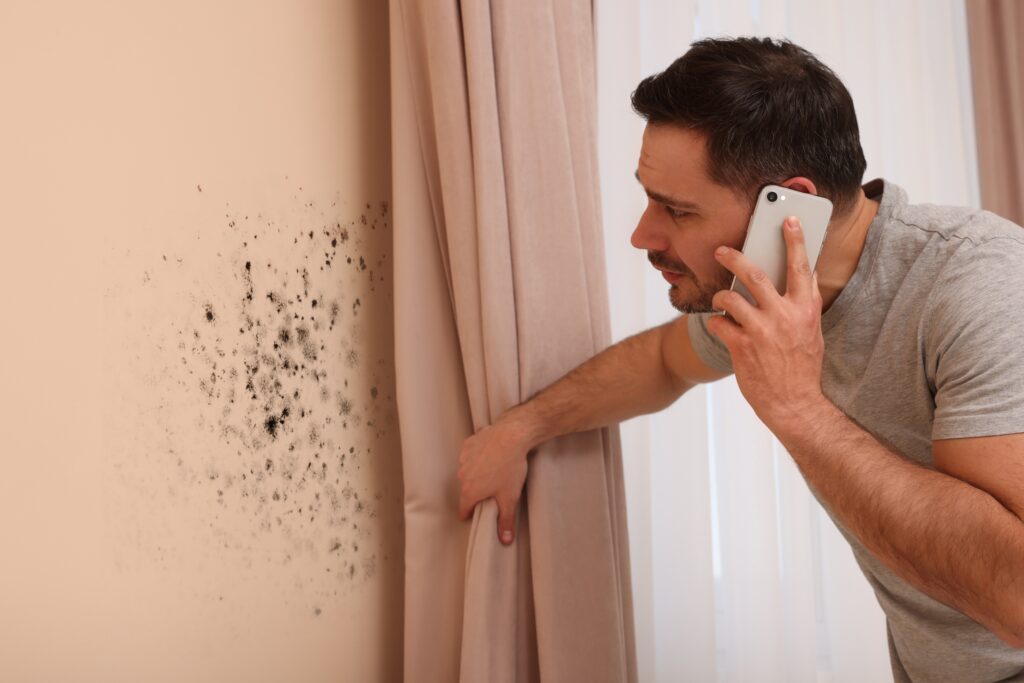 What Is Mold? Types, Health Risks, Symptoms & Prevention 6 shutterstock 2306469185