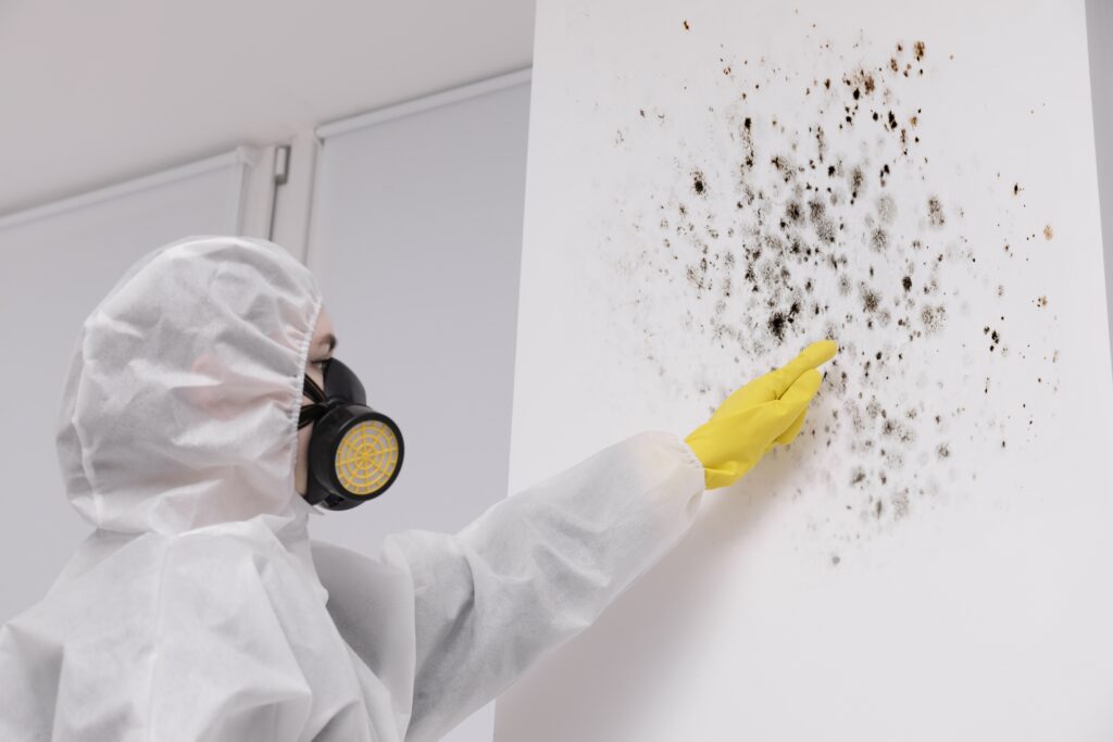 Types of Mold: A Complete Guide 5 Types of Mold: A Complete Guide / What Is Mold? / Common Types of Mold / Less Common but Important Types of Mold / How Mold Affects Health / How to Identify Mold / Why You Shouldn't Remove Mold Yourself / How to Prevent Mold Growth / FAQs About Types of Mold / ETA Mold Inspection and Testing Mold in Florida
