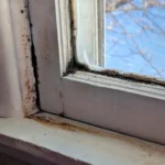 How To Prevent Mold On Windows: A Complete Guide
