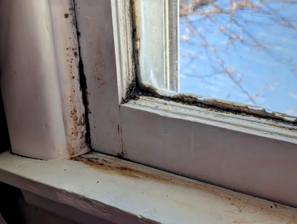 a close up of a window / How To Prevent Mold On Windows: A Complete Guide / What Is Mold and Why Does It Grow on Windows? / Common Causes of Mold on Windows / Signs You Have Mold on Your Windows / How To Prevent Mold On Windows: Practical Tips / What To Do If You Already Have Mold on Your Windows? / Prioritize Safety When Handling Mold / Prepare the Cleaning Solution / Remove Mold from Window Frames and Sills / Dry the Area Completely / Dispose of Cleaning Materials Properly / Monitor the Area for Mold Return / How To Prevent Mold On Windows Year-Round: Seasonal Care Tips / Winter Mold Prevention Tips / Spring Mold Prevention Tips / Summer Mold Prevention Tips / Fall Mold Prevention Tips / Why It’s So Important To Prevent Mold On Windows / FAQs About How To Prevent Mold On Windows / How To Prevent Mold On Windows Effectively / ETA Mold Inspection in Florida