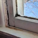 How To Prevent Mold On Windows: A Complete Guide